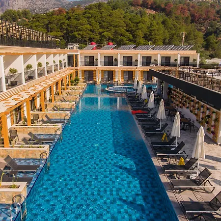 L Sarıgerme